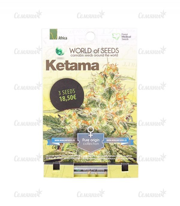 Семена сорта La Diva (Delicious Seeds) — изображение 2