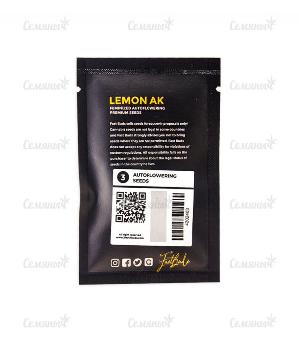 Семена сорта Remo Chemo (Dinafem Seeds) — изображение 3