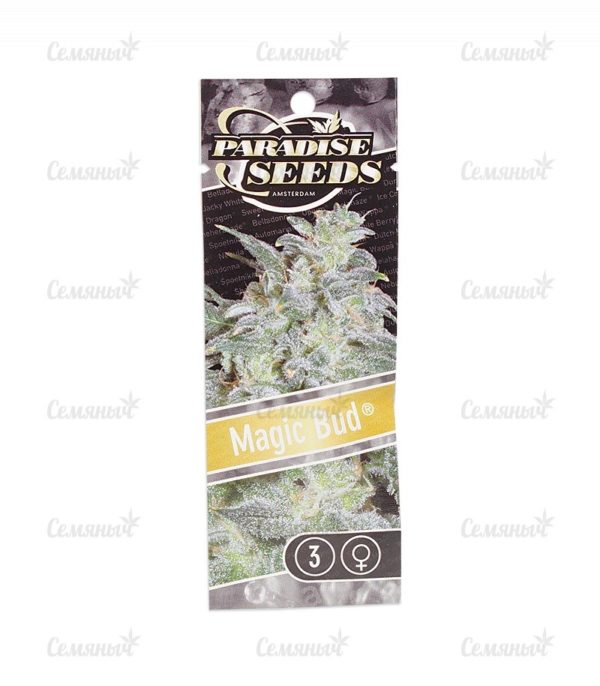 Семена сорта Veneno (Eva Seeds) — изображение 2