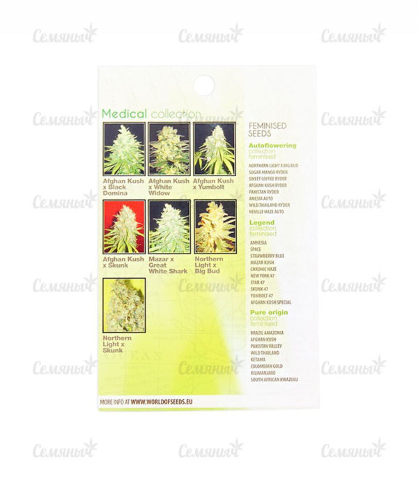 Семена сорта Auto Galaxy (Pyramid Seeds) — изображение 3