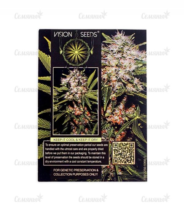Семена сорта Auto Amnesia Haze (Victory Seeds) — изображение 3