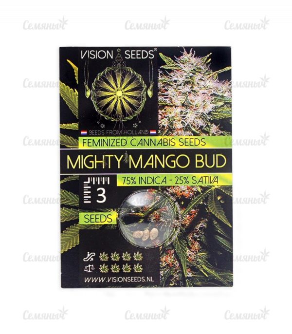 Семена сорта Auto Amnesia Haze (Victory Seeds) — изображение 2