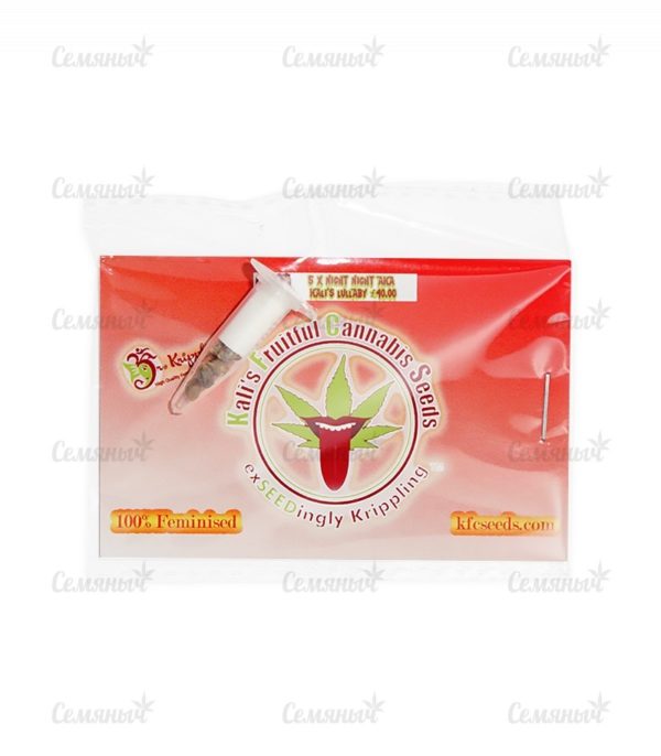 Семена сорта Crazy Miss Hyde Auto (Samsara Seeds) — изображение 2