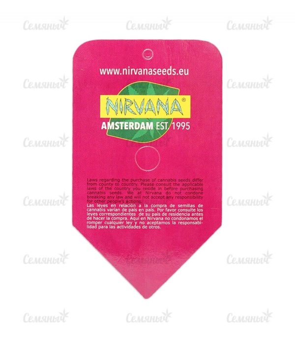Семена сорта Papaya regular — изображение 4