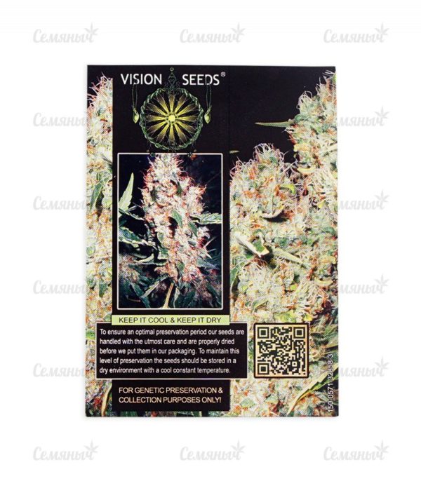 Семена сорта Auto Super Mazar (Victory Seeds) — изображение 3