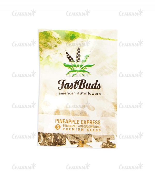 Семена сорта TNT Kush (Eva Seeds) — изображение 3