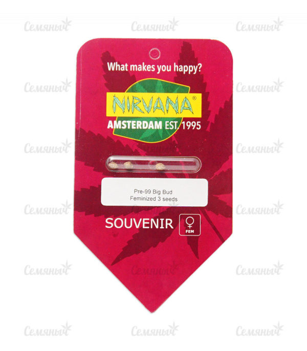 Семена сорта Auto NL (Female Seeds) — изображение 2