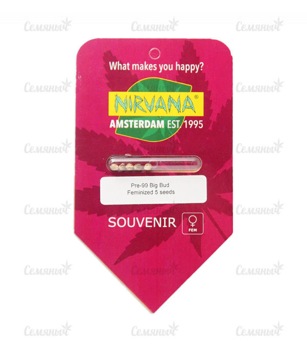Семена сорта Auto NL (Female Seeds) — изображение 3