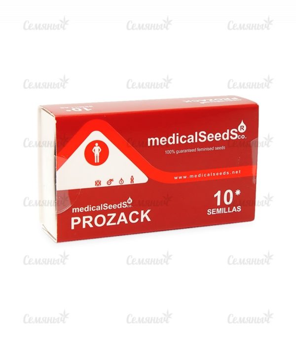 Семена сорта Psicodelicia (Sweet Seeds) — изображение 4