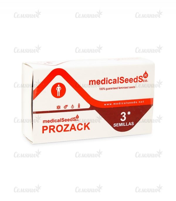 Семена сорта Psicodelicia (Sweet Seeds) — изображение 2