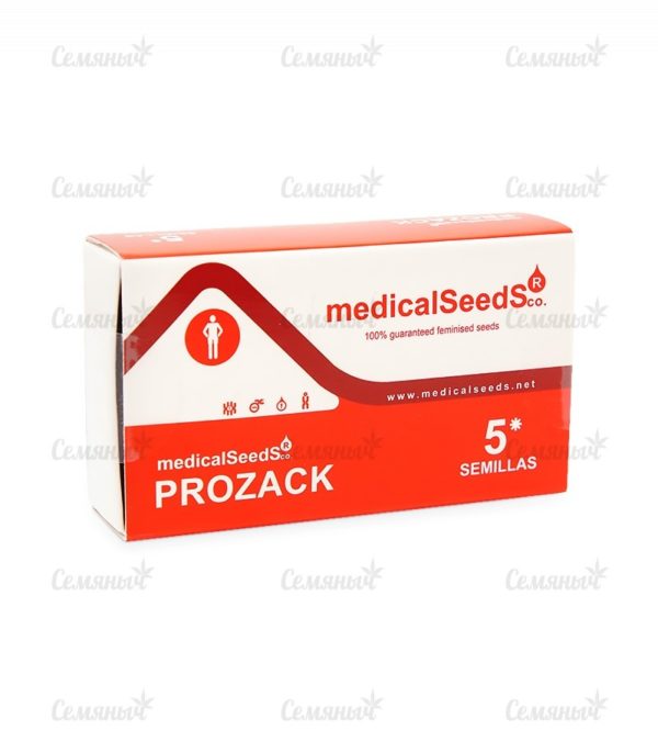 Семена сорта Psicodelicia (Sweet Seeds) — изображение 3