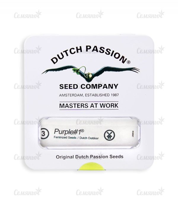 Семена сорта Auto Frisian Dew (Dutch Passion) — изображение 2
