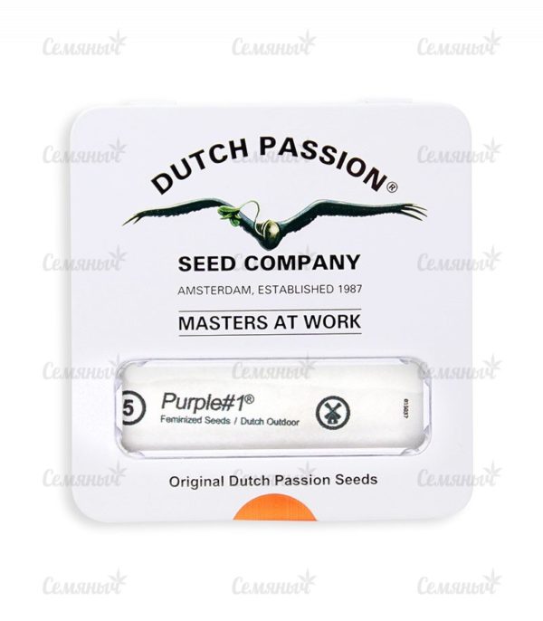 Семена сорта Auto Frisian Dew (Dutch Passion) — изображение 3