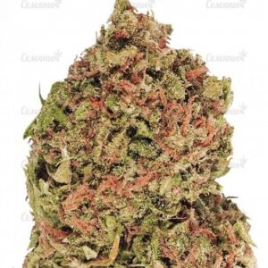 Семена сорта Red Cherry Berry (Barney's Farm)