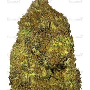 Семена сорта S.A.D. Sweet Afgani Delicious F1 Fast Version (Sweet Seeds)