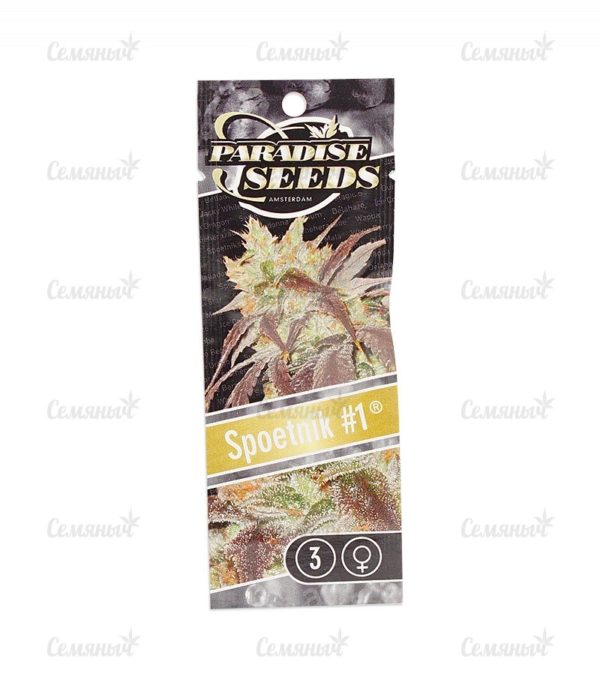 Семена сорта Arjan's Strawberry Haze — изображение 2