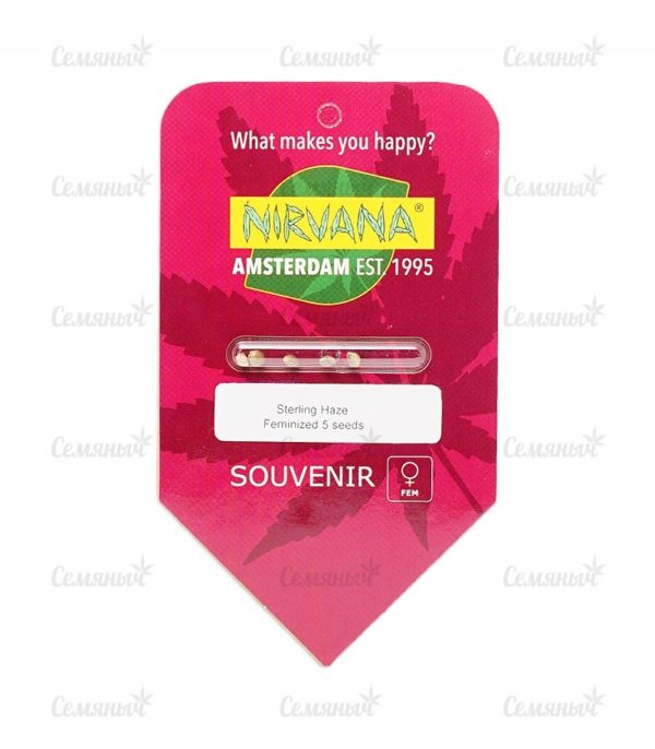 Семена сорта Neville Haze Auto (World of Seeds) — изображение 3