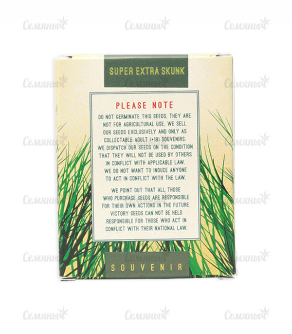 Семена сорта Orange Bud regular (Dutch Passion) — изображение 3