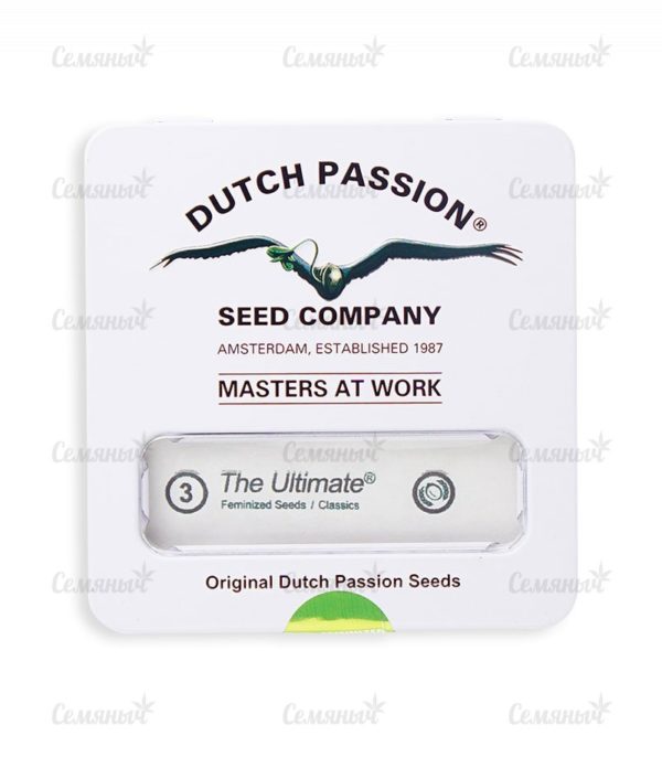 Семена сорта Watermelon Zkittlez fem (Pyramid Seeds) — изображение 2