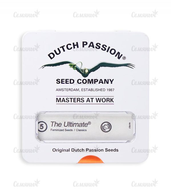 Семена сорта Watermelon Zkittlez fem (Pyramid Seeds) — изображение 3