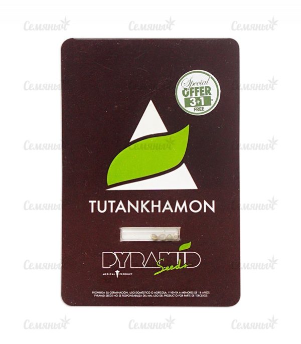 Семена сорта Tutankhamon (Pyramid Seeds) — изображение 2