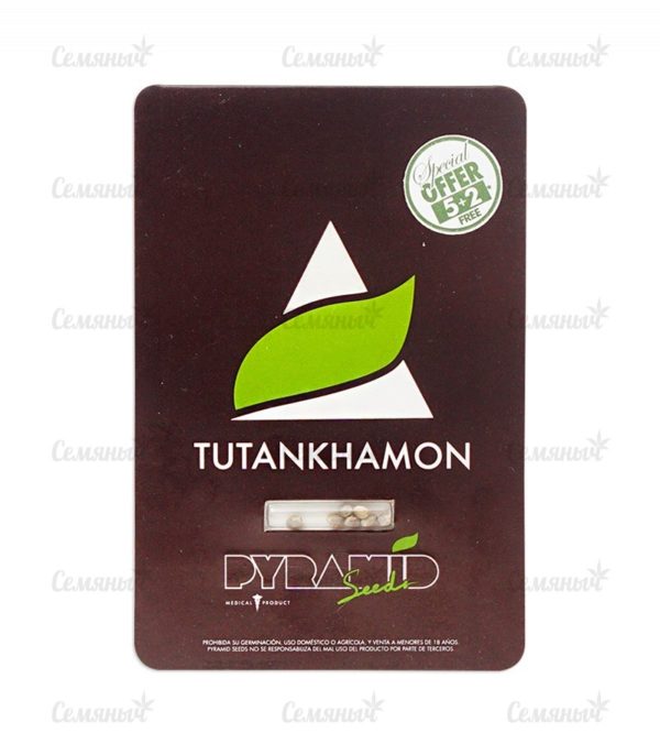 Семена сорта Tutankhamon (Pyramid Seeds) — изображение 3