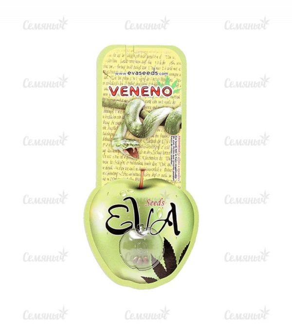 Семена сорта Original Limonade Skunk (Victory Seeds) — изображение 2