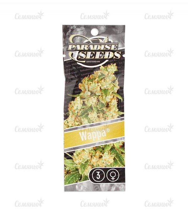 Семена сорта Nebula (Paradise Seeds) — изображение 2