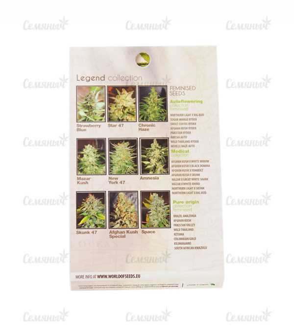 Семена сорта Lithium OG Kush (Nirvana Seeds) — изображение 3