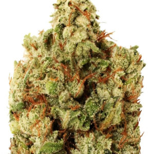 Green Ninja fem (Heavyweight Seeds)