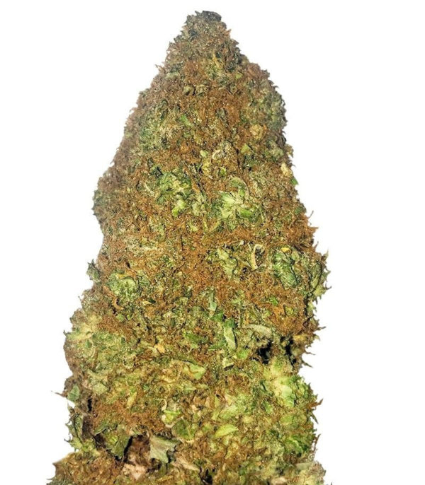 Jackpot Auto fem (Heavyweight Seeds)