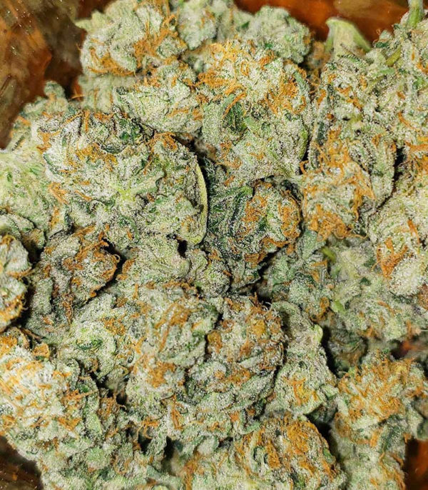 Kabul Express fem (Kalashnikov Seeds) семена конопли — изображение 2