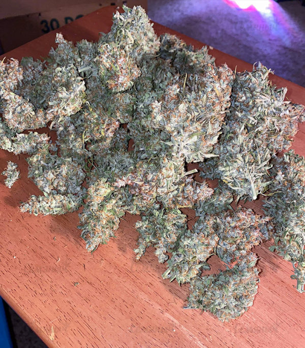 Семена сорта Original Auto Skunk fem (FastBuds) — изображение 2