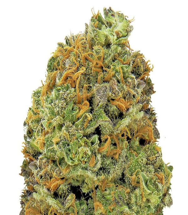 Wipeout Express auto (Heavyweight Seeds) семена конопли