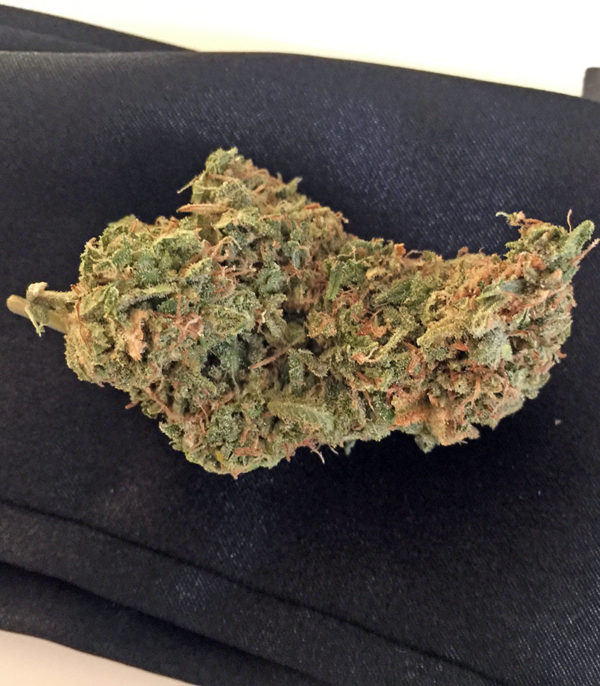 Семена сорта Afgooey fem (Strain Hunters) — изображение 7