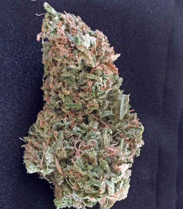 Семена сорта Afgooey fem (Strain Hunters) — изображение 8