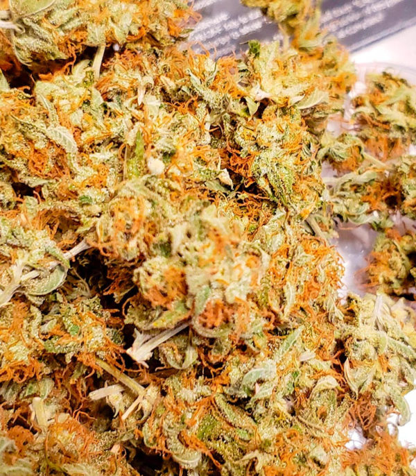 Семена сорта Black Widow fem (Amsterdam Seeds) — изображение 7
