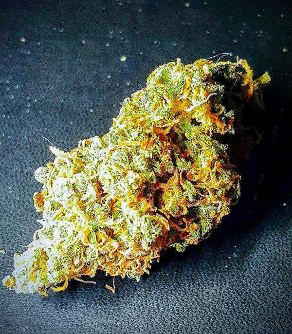 Семена сорта Mandarin Thuggee fem (AlphaFem Seeds) — изображение 8