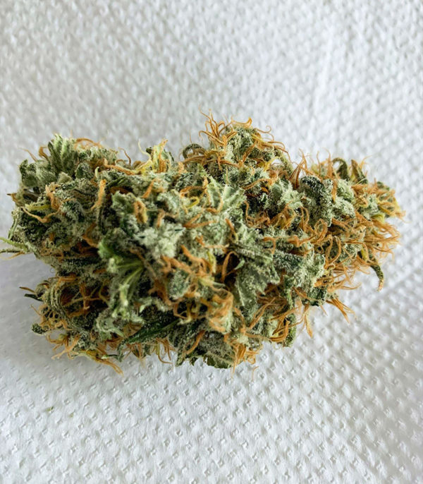 Семена сорта Vitality fem (AlphaFem Seeds) — изображение 6