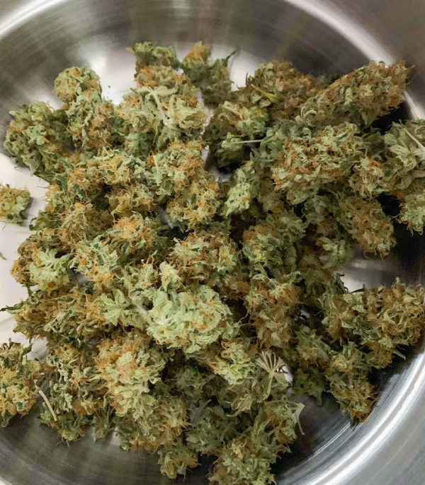 Семена сорта Vitality fem (AlphaFem Seeds) — изображение 3
