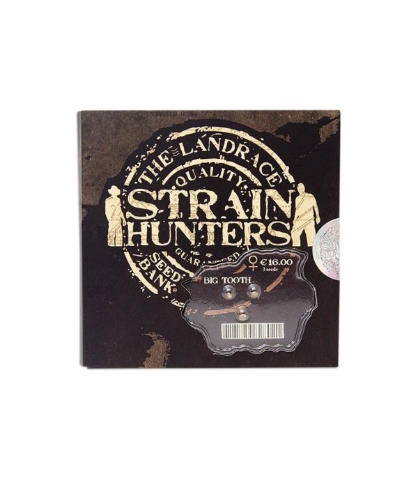 Семена сорта Big Tooth fem (Strain Hunters) — изображение 2