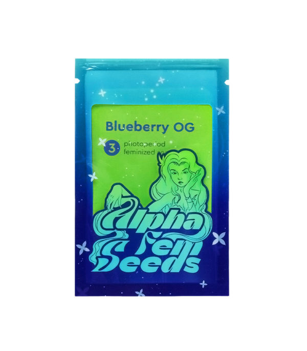 Семена сорта Blueberry OG fem (AlphaFem Seeds) — изображение 2