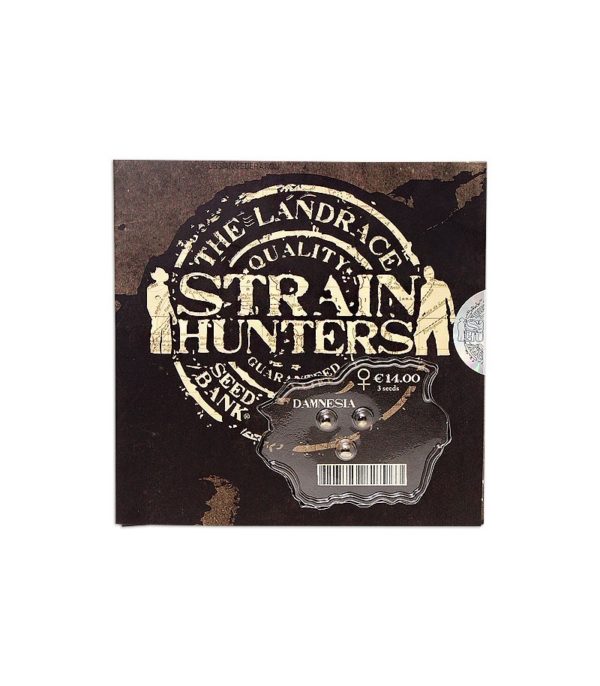Семена сорта Damnesia fem (Strain Hunters) — изображение 2