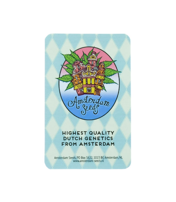 Семена сорта White Widow fem (Amsterdam Seeds) — изображение 2