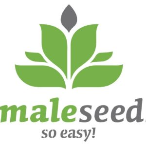 Female Seeds