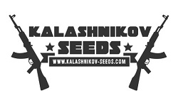 Kalashnikov Seeds
