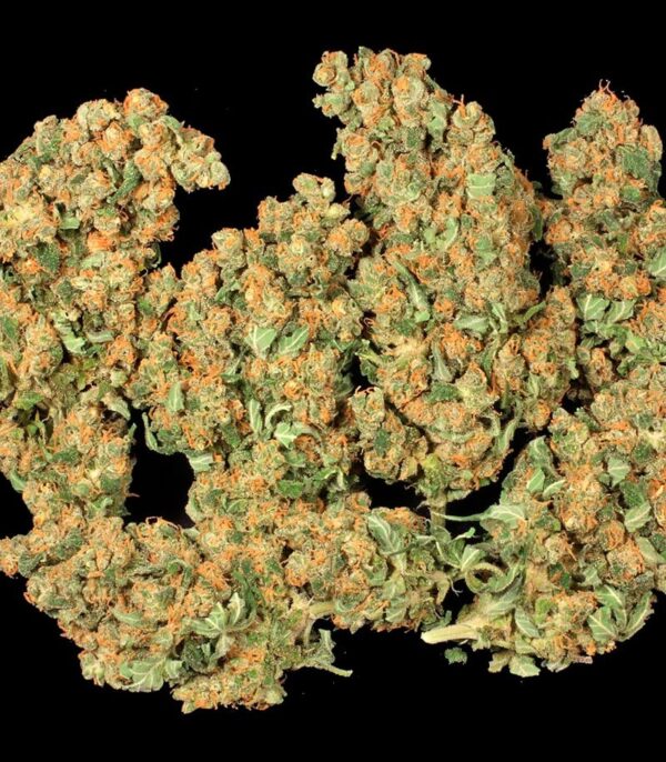 Семена сорта Amnesia Haze (Victory Seeds) — изображение 6