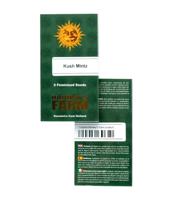 Kush Mintz fem (Barney's Farm) семена конопли — изображение 2