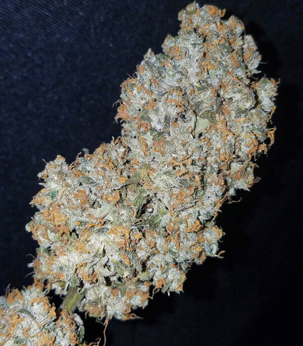 Original Auto OG Kush fem (FastBuds) семена конопли — изображение 5